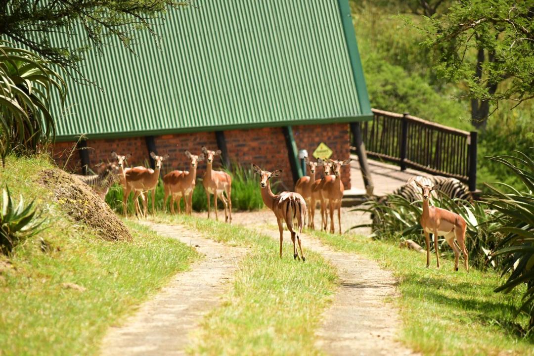 Photo of Others in Merrivale