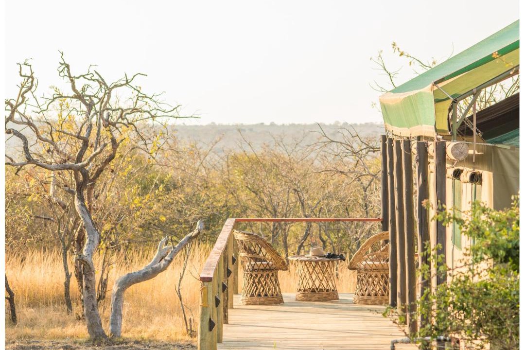Photo of Others in Thorny Bush Game Reserve