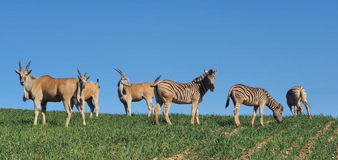 Photo of Others in Breede River Valley