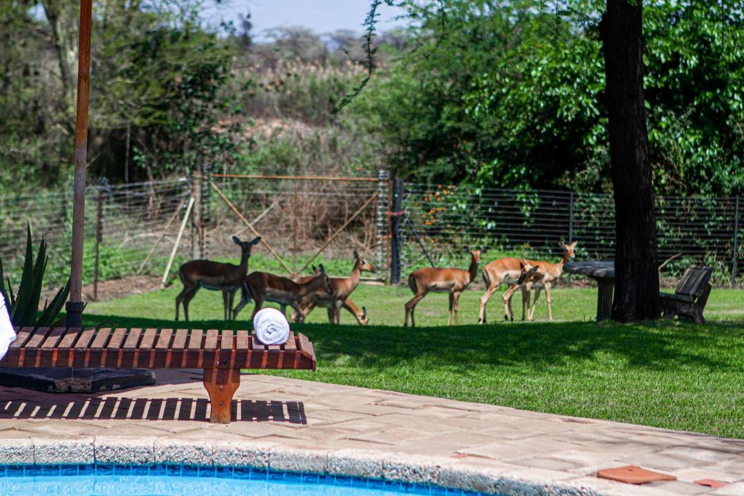 Photo of Others in Lephalale