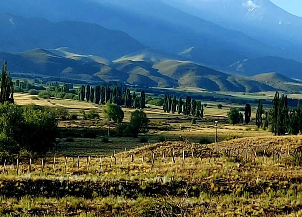 Photo of Others in Tupungato