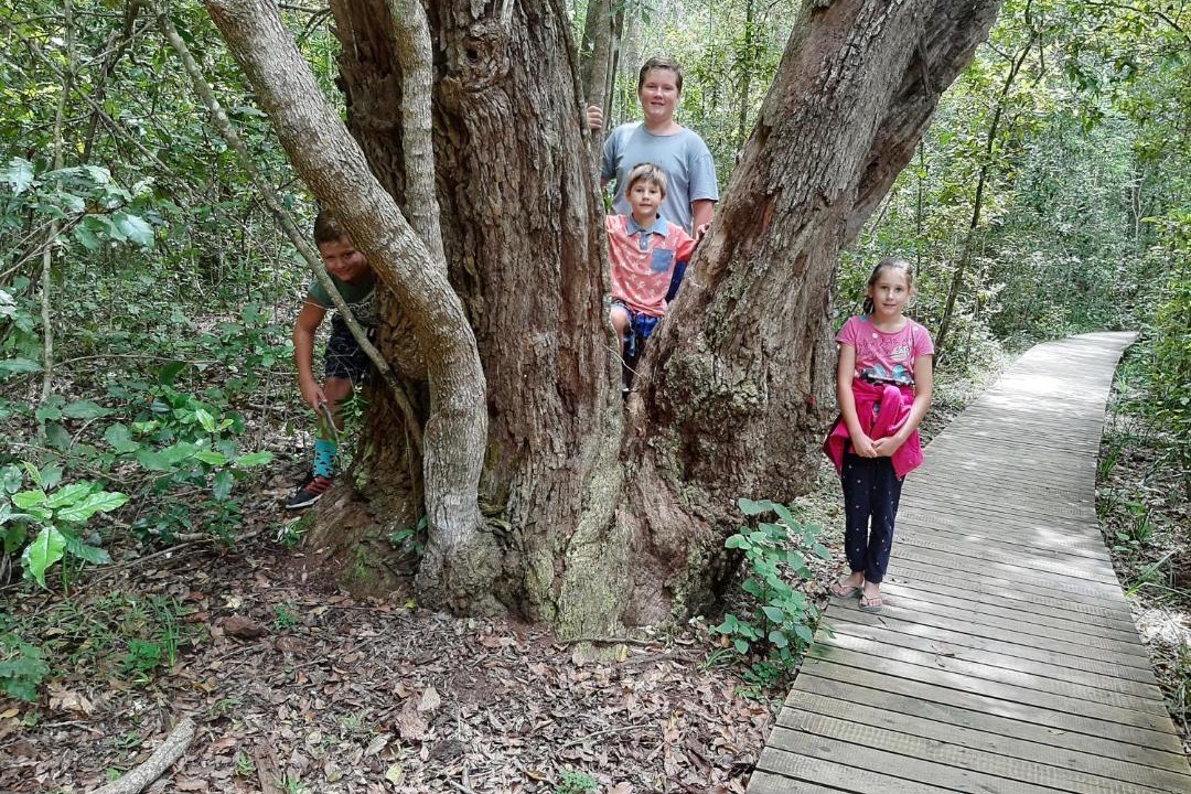 Photo of Others in Storms River