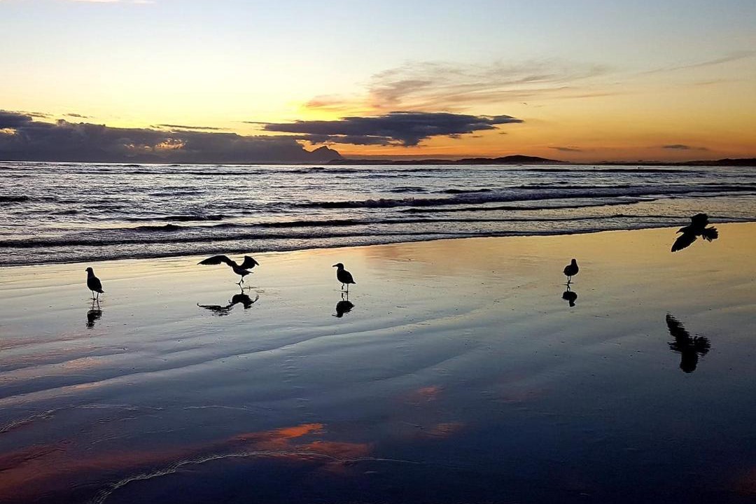 Photo of Others in Strand