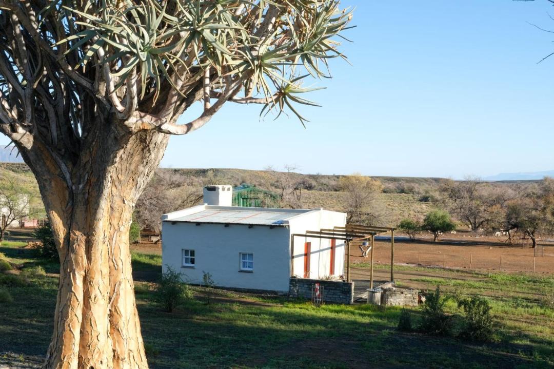 Photo of Others in Karoo Hoogland