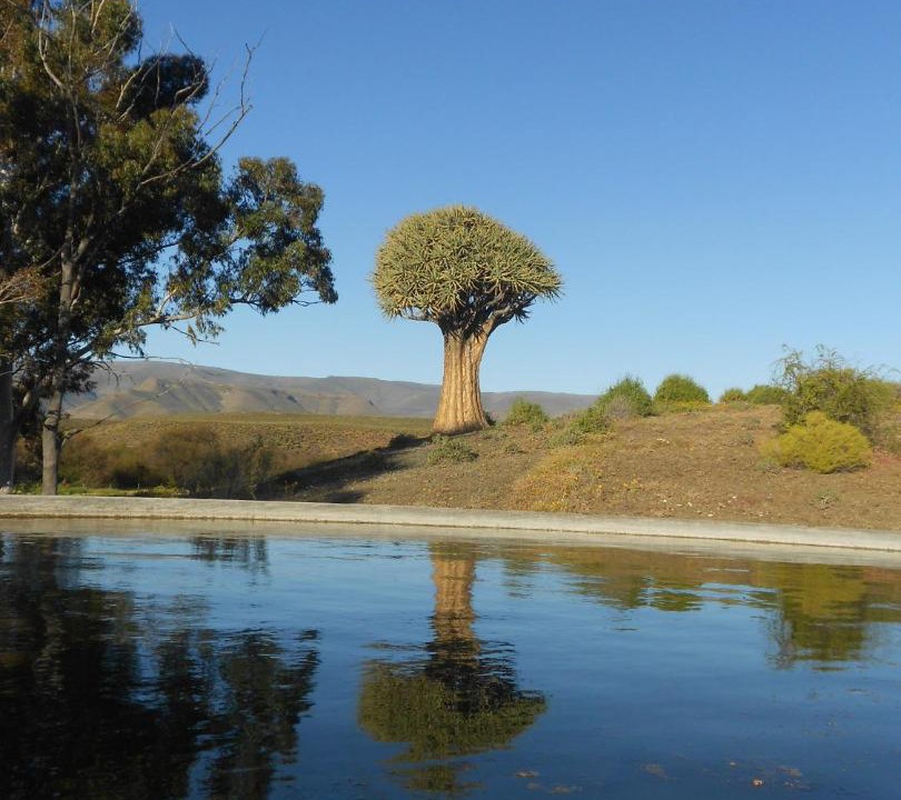 Photo of Others in Karoo Hoogland