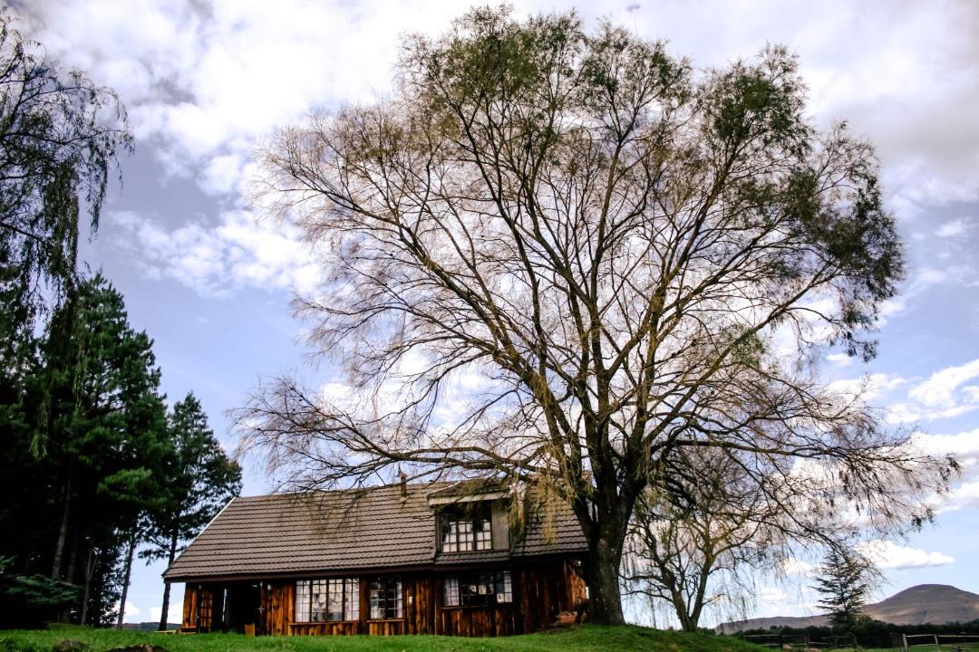 Photo of Buildings in Kwa Sani