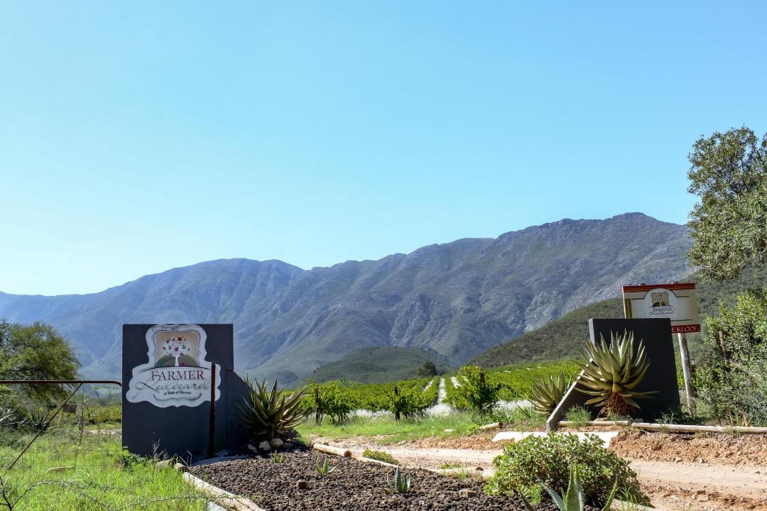 Photo of Others in Langeberg