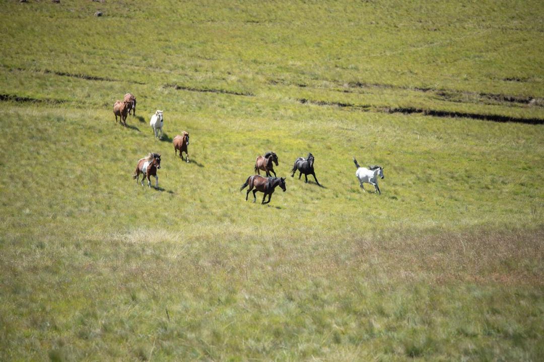 Photo of Others in Kwa Sani