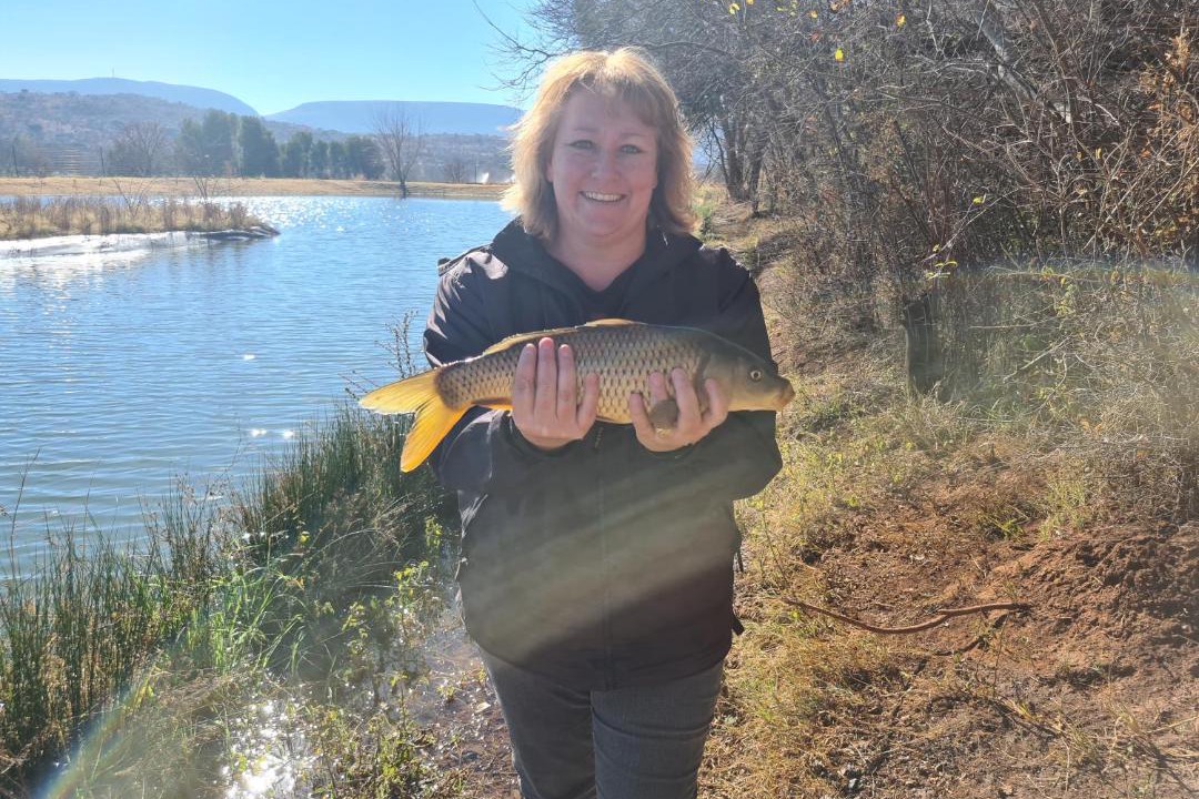 Photo of Others in Magaliesberg