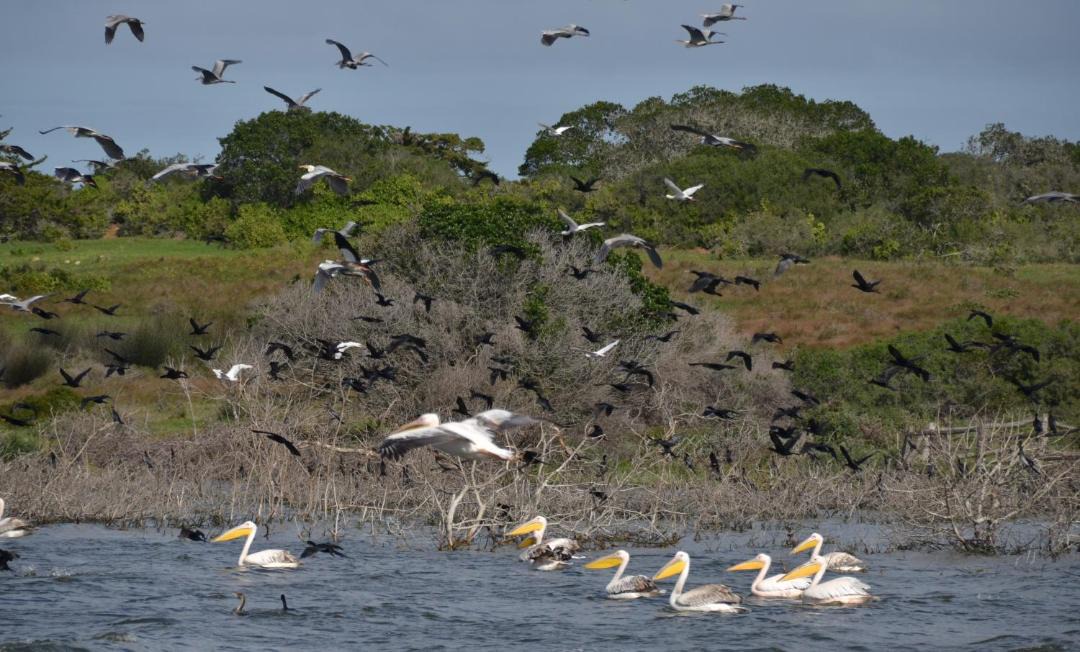 Photo of Others in Overberg