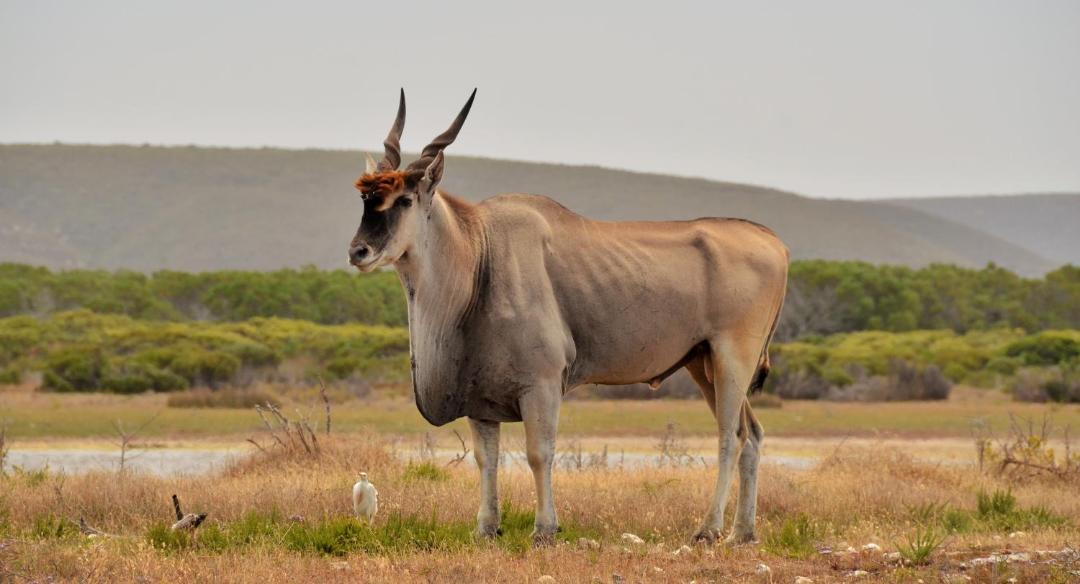 Photo of Others in Overberg