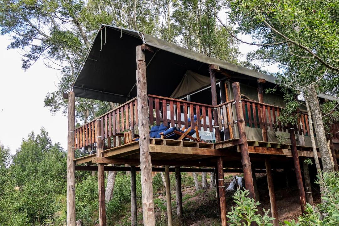 Photo of Others in Knysna