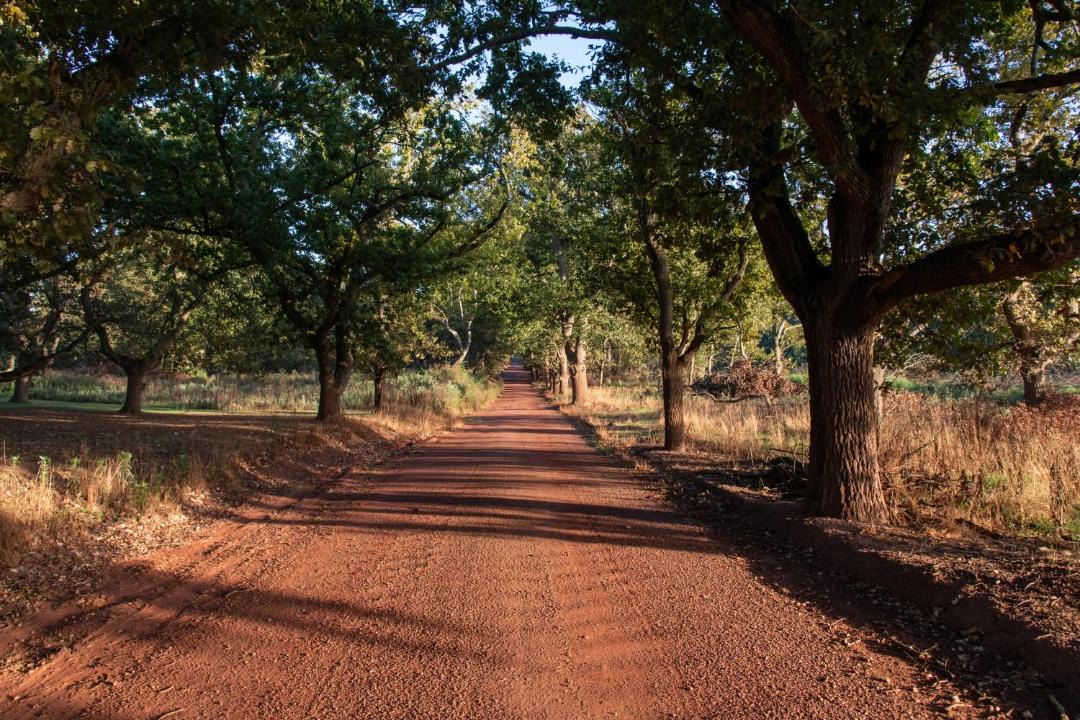 Photo of Others in Grabouw