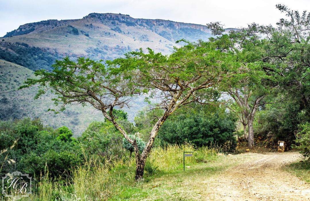 Photo of Outdoor in Mbombela