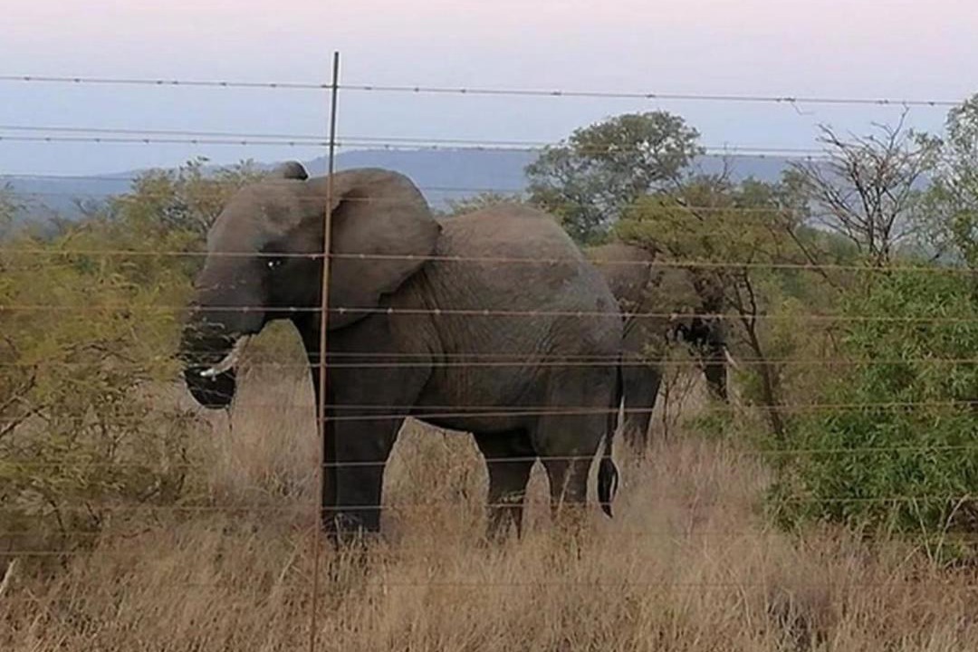 Photo of Others in Hammanskraal