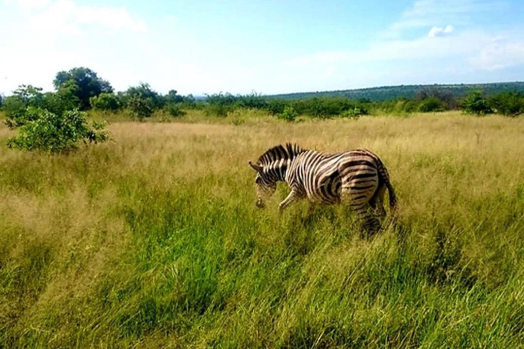 Photo of Others in Hammanskraal