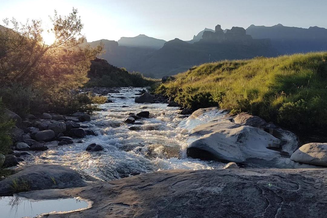 Photo of Others in Drakensberg Gardens