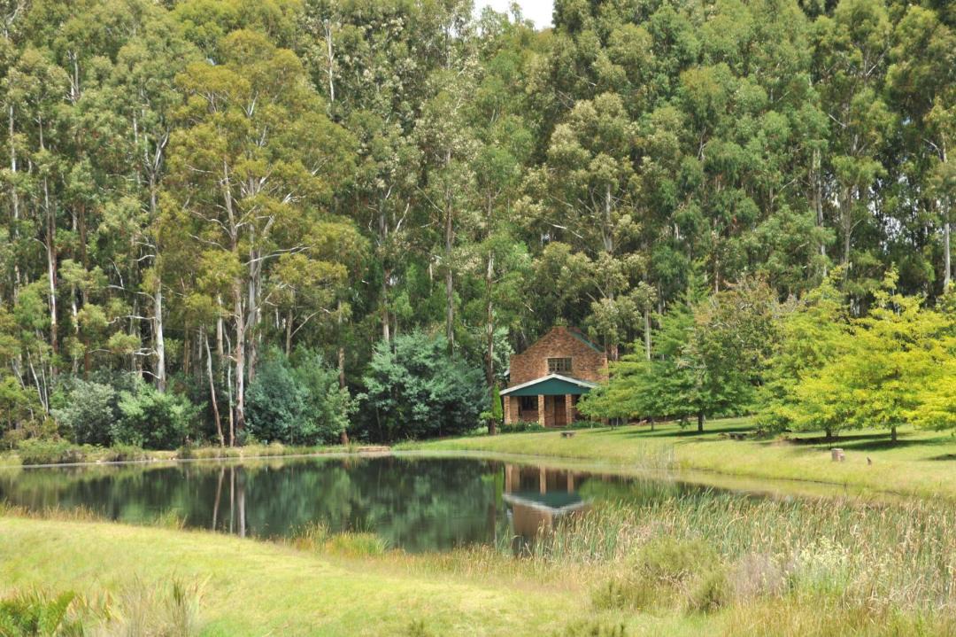 Photo of Others in Dullstroom