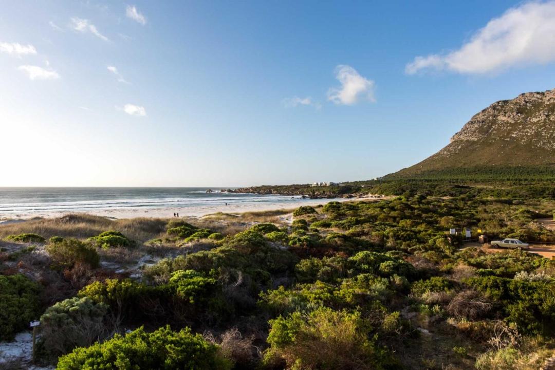 Photo of Outdoor in Pringle Bay