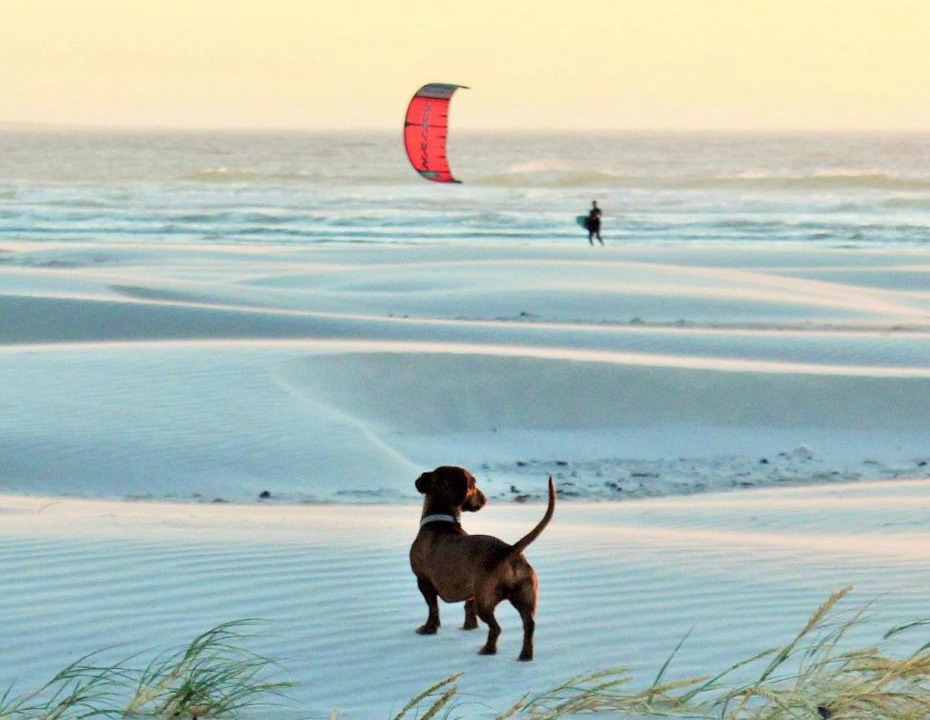 Photo of Others in Melkbosstrand