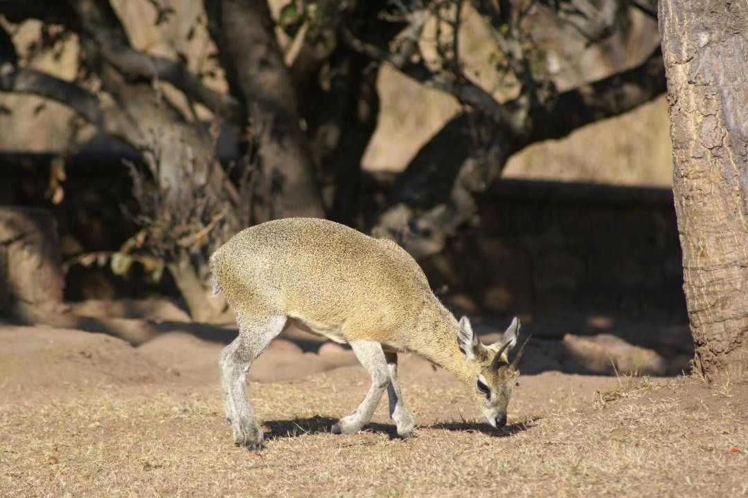 Photo of Others in Waterberg