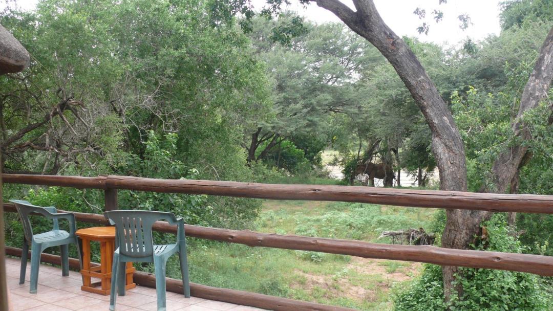 Photo of Others in Phalaborwa