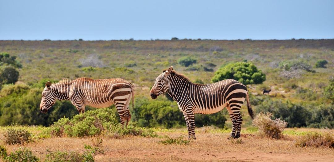 Photo of Others in Overberg
