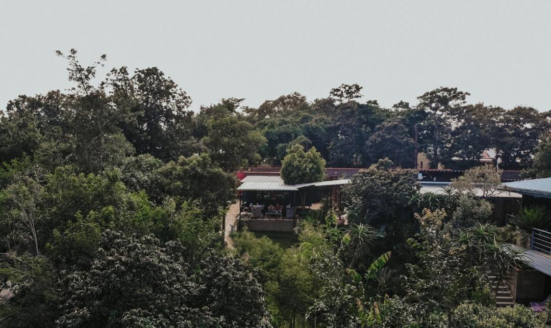 Photo of Others in Nelspruit