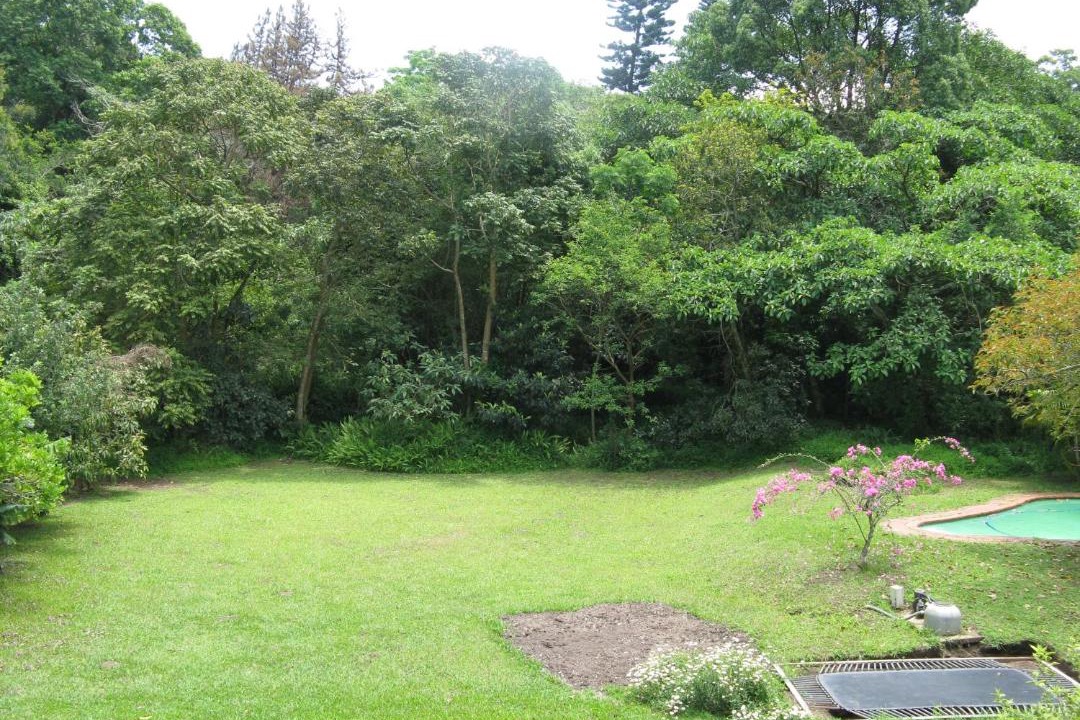 Photo of Others in Kloof