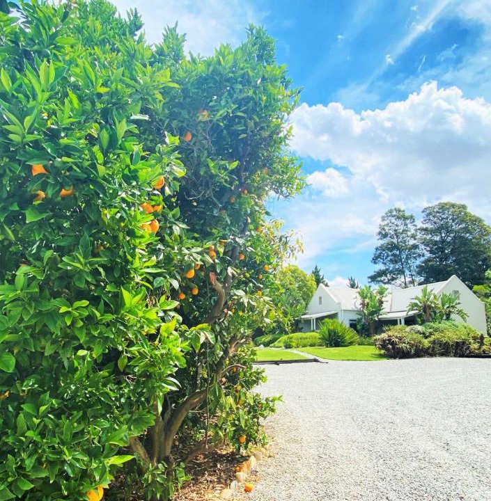 Photo of Outdoor in Swellendam