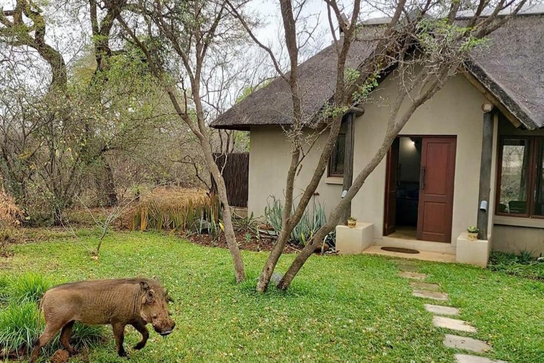 Photo of Others in Hoedspruit