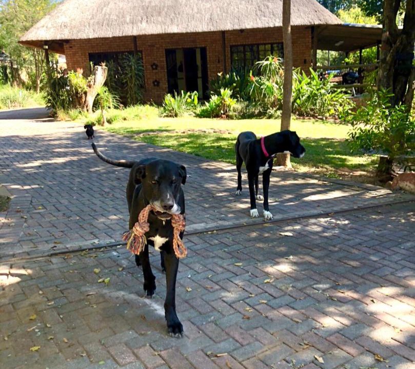 Photo of Others in Nelspruit