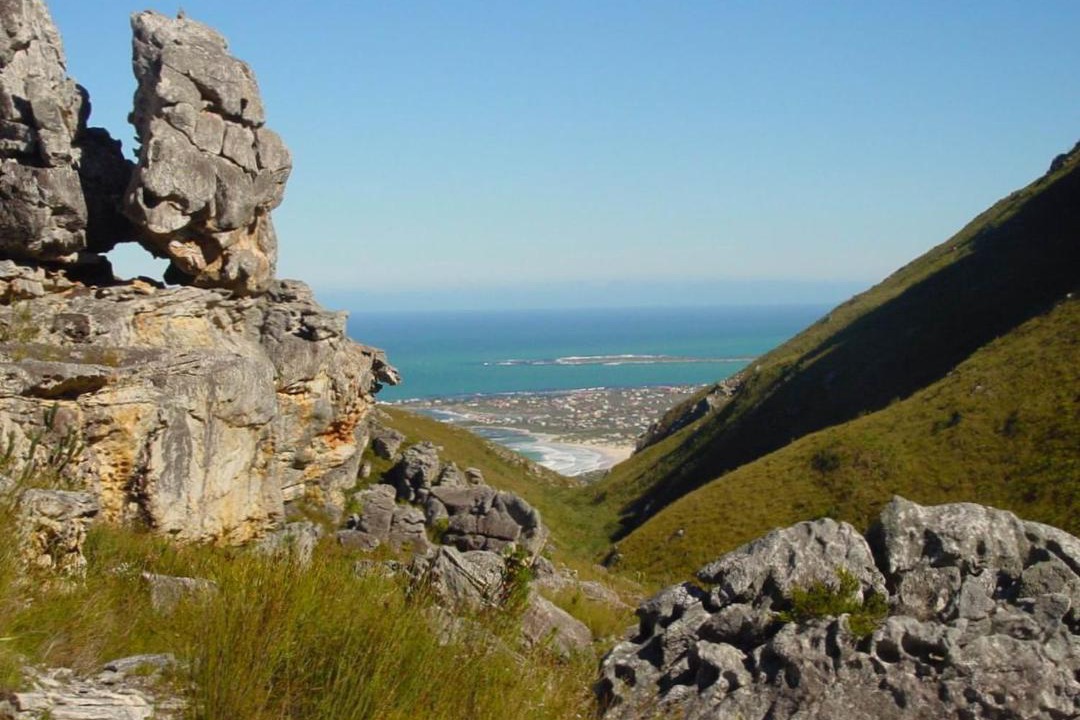 Photo of Others in Betty's Bay
