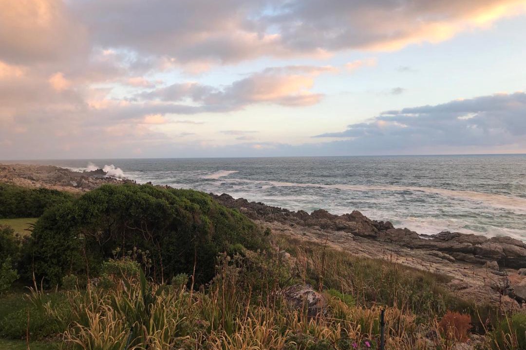 Photo of Others in Betty's Bay