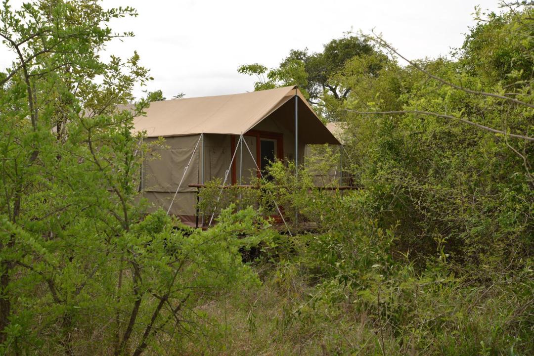 Photo of Others in Thorny Bush Game Reserve
