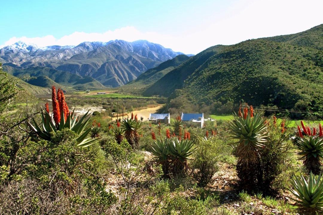 Photo of Others in Calitzdorp