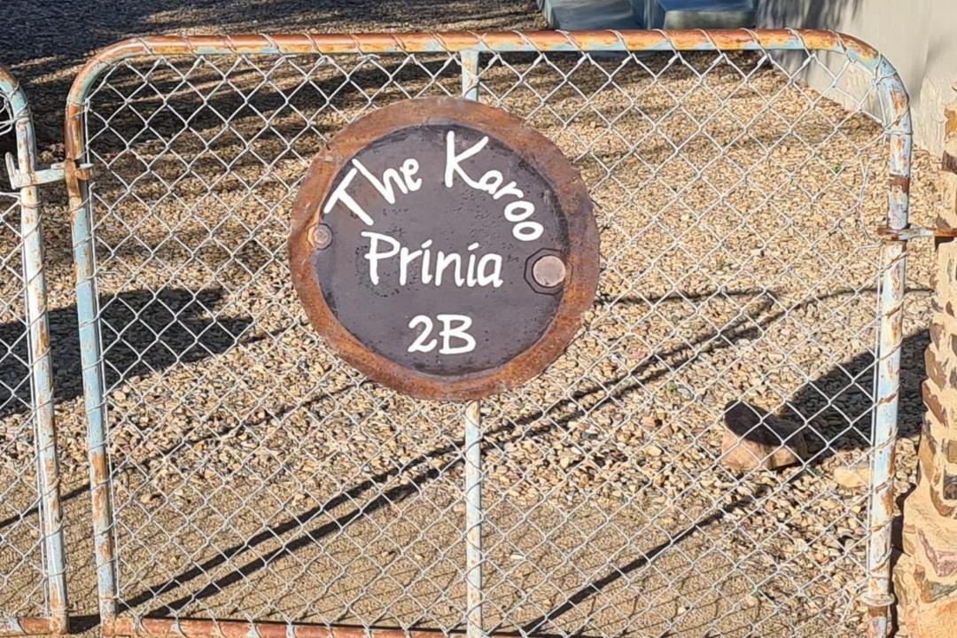 Photo of Others in Prince Albert