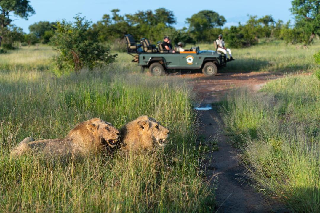 Photo of Others in Thorny Bush Game Reserve