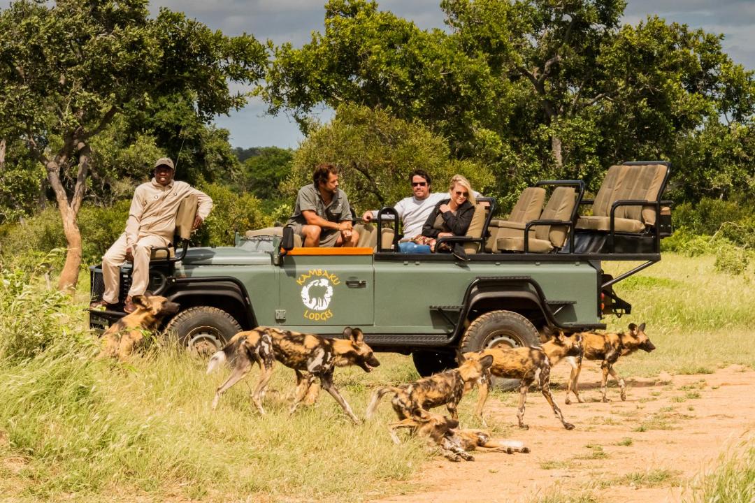 Photo of Others in Thorny Bush Game Reserve