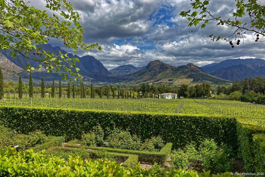 Photo of Others in Franschhoek