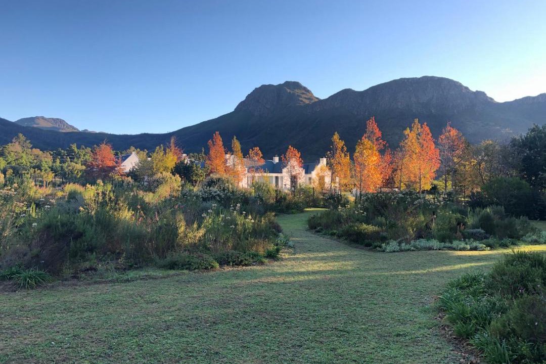Photo of Others in Franschhoek