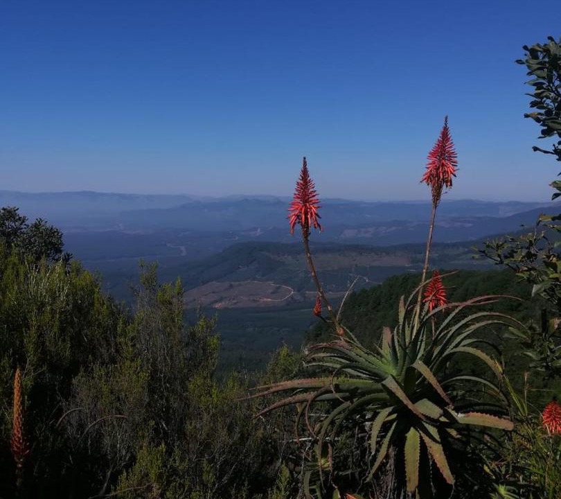Photo of Others in Kaapsehoop