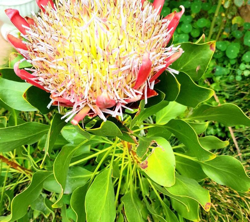 Photo of Outdoor in Secunda