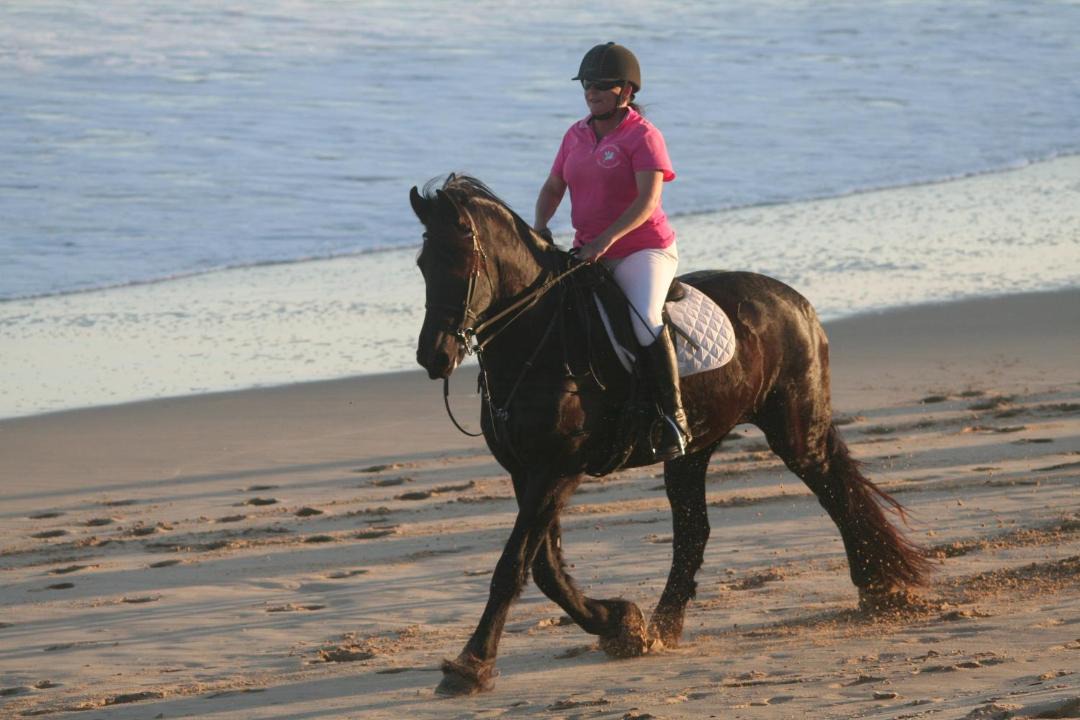 Photo of Human In Picture in Port Elizabeth