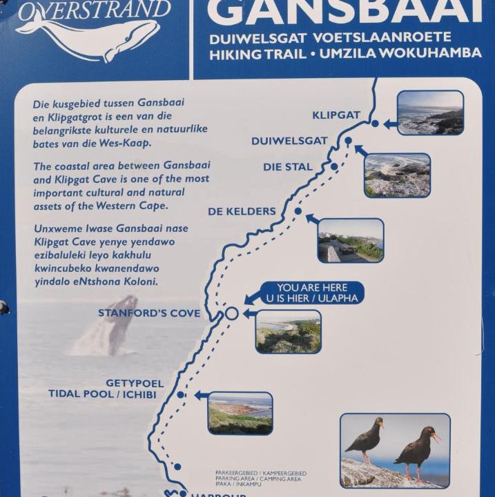 Photo of Others in Gansbaai