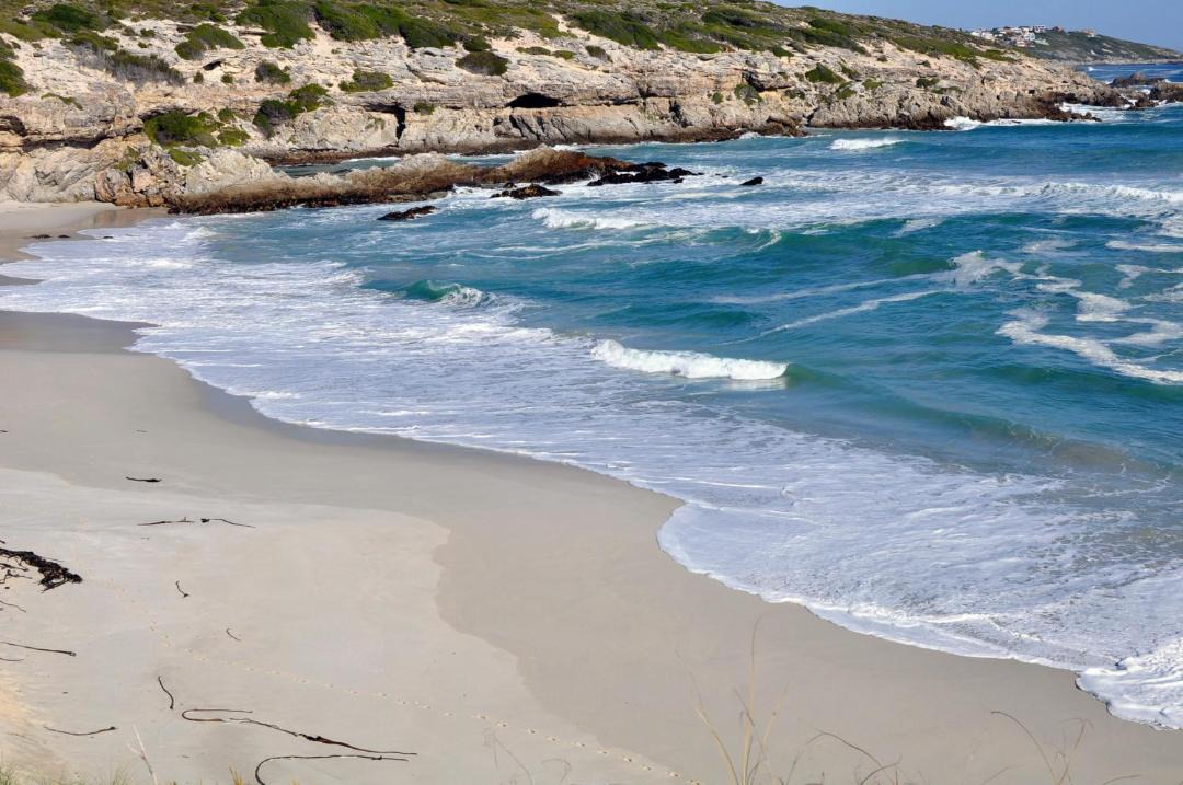 Photo of Others in Gansbaai