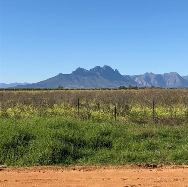 Photo of Others in Kraaifontein
