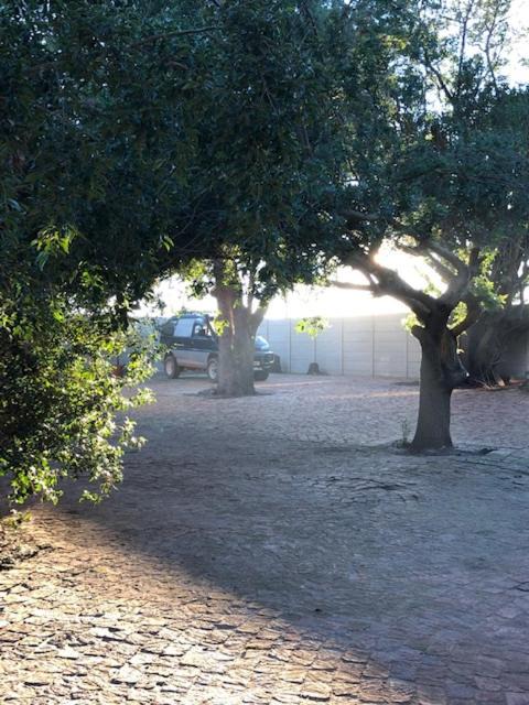 Photo of Others in Kraaifontein