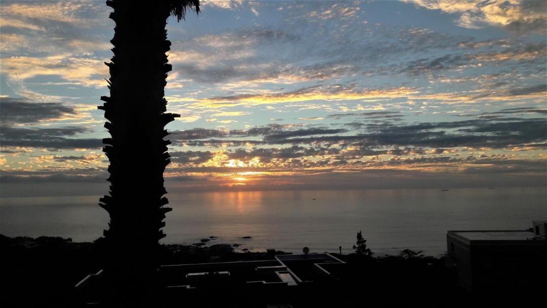 Photo of Others in Camps Bay