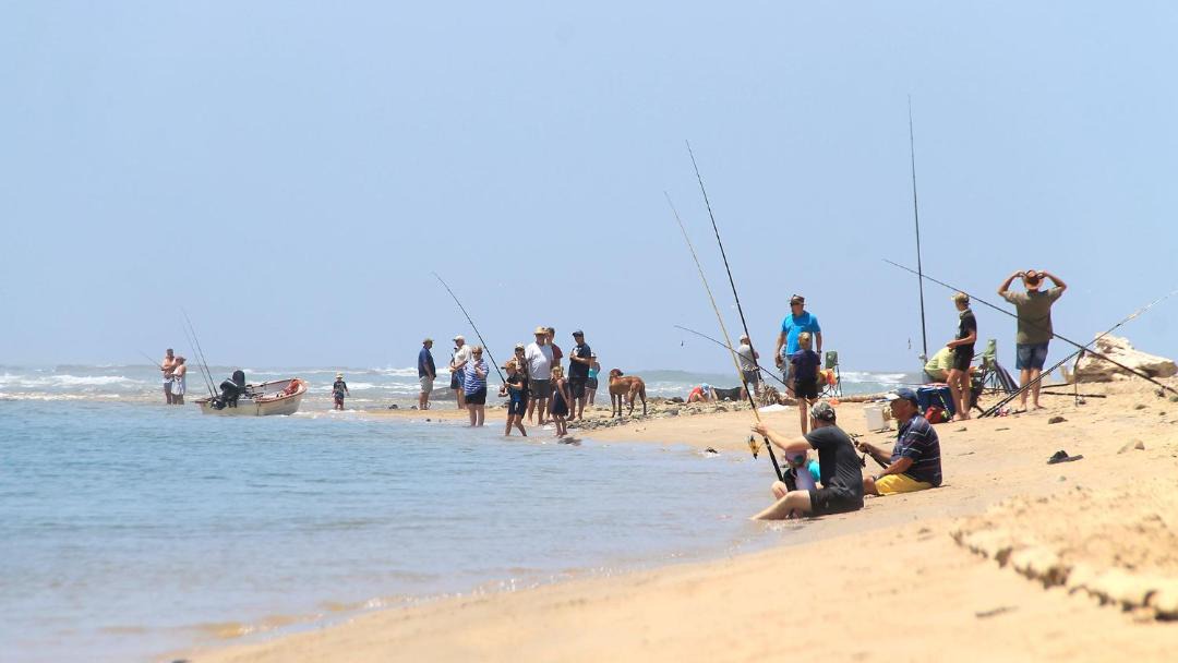 Photo of Others in Kei Mouth